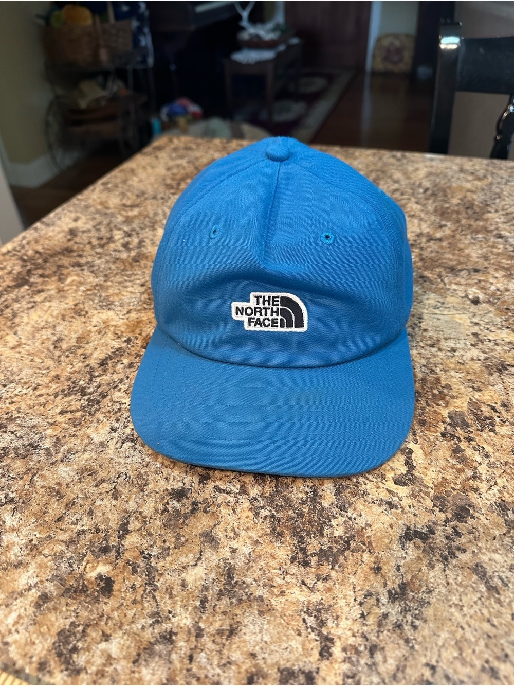 The North Face MENS Blue Baseball Cap